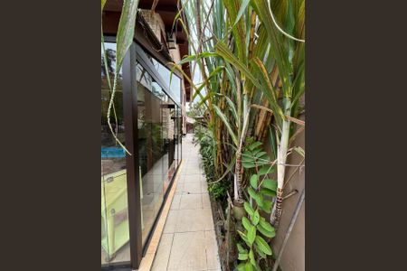 38_photo/952739095f.26dc6cb80f3e86b0-ATLAS-ff209330-0cc2-4f2d-a7eb-6b6d05593ae1.jpg de casa à venda com 4 quartos, 256m² em Pantanal, Florianópolis