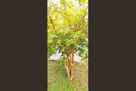 29_photo/952739171b.04f4efb4ec0e2ec3-ATLAS-c50066de-46e3-42e6-9376-0d1136753d2d.jpg de casa à venda com 4 quartos, 88m² em Córrego Grande, Florianópolis