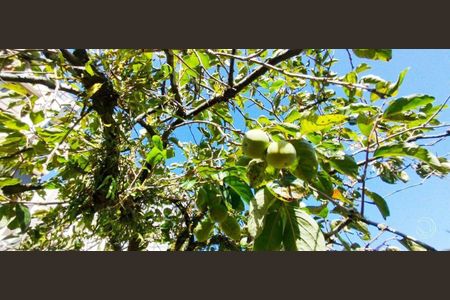 30_photo/952739171b.04f4efb4ec0e2ec3-ATLAS-e44bbeeb-599b-42fe-ae1c-50da3b6e3849.jpg de casa à venda com 4 quartos, 88m² em Córrego Grande, Florianópolis