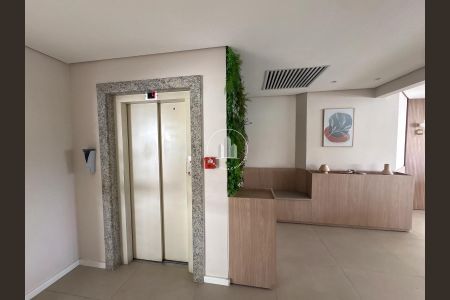 20_photo/9527391b73.9ed6b682aee00d26-ATLAS-0bc4835d-08a4-471f-b4e8-30ec0cd9f7e3.jpg de apartamento à venda com 4 quartos, 110m² em Córrego Grande, Florianópolis