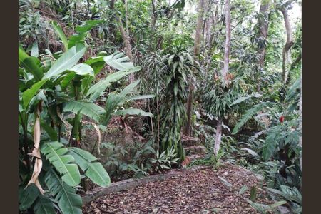 2_photo/9527393de1.bb2cfda027800a9a-ATLAS-1de1e3ce-3c50-48d2-b4af-3f30f5a57e7d.jpg de casa à venda com 4 quartos, 230m² em Córrego Grande, Florianópolis