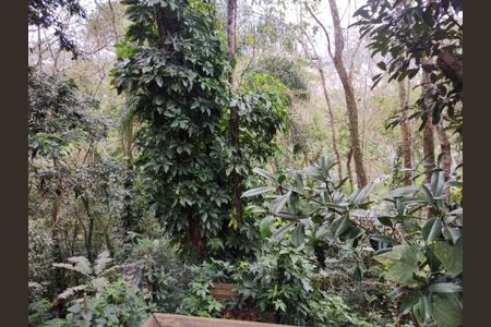 4_photo/9527393de1.bb2cfda027800a9a-ATLAS-3b84df2c-bcb9-4c25-b27c-2267a06db7e9.jpg de casa à venda com 4 quartos, 230m² em Córrego Grande, Florianópolis