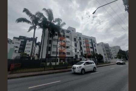 1_photo/952739ad3d.2a5edcaf441d5912-ATLAS-059ef34c-4ca5-49aa-b020-92f7038e2065.jpg de apartamento para alugar com 1 quarto, 40m² em Carvoeira, Florianópolis