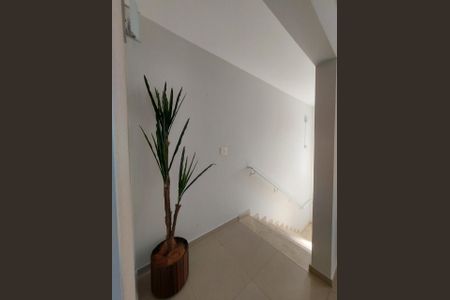 24_photo/95273a4463.fbcd7a2e7ac63d93-ATLAS-b4dfdb30-da26-410a-a26b-8d895f5db136.jpg de casa à venda com 5 quartos, 274m² em Carianos, Florianópolis