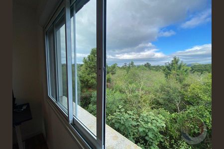 30_photo/95273b1417.3dcebeb42eae20b2-ATLAS-6d8f592b-31b4-4362-ade4-2a855cb16e48.jpg de casa à venda com 3 quartos, 157m² em Campeche Central, Florianópolis