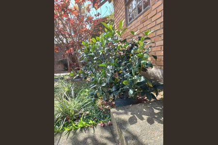 6_photo/95273b3455.b88c9f23dde11cca-ATLAS-dc2262b0-e3c1-485c-9184-4df191a2c8cf.jpg de casa à venda com 4 quartos, 220m² em Campeche, Florianópolis