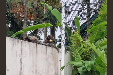 12_photo/95273eb4c9.aaa1984783e3a523-ATLAS-3342b691-11e8-4e73-bf84-1b9fa537c32e.jpg de casa à venda com 4 quartos, 343m² em Lagoa da Conceição, Florianópolis