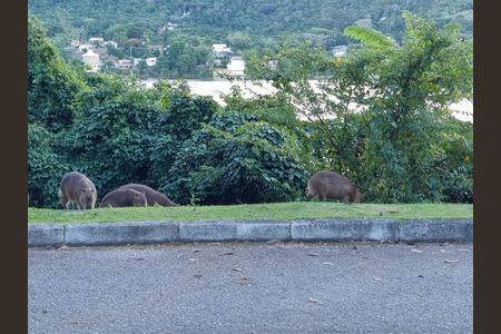 41_photo/95273eb4c9.aaa1984783e3a523-ATLAS-5b88b5d3-71ad-4c40-aa35-e36b5fa4e751.jpg de casa à venda com 4 quartos, 343m² em Lagoa da Conceição, Florianópolis