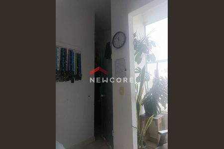 3_photo/9527403c4d.93b8fa184532727f-ATLAS-bbb2d272-1a8a-47d1-a932-d4d69515aead.jpg de casa à venda com 2 quartos, 63m² em São João do Rio Vermelho, Florianópolis