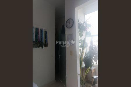 8_photo/9527403c4f.f0d246bad4da1cd5-ATLAS-85fc4973-78cb-485c-a6da-8a0c18d1c5d5.jpg de casa à venda com 2 quartos, 60m² em São João do Rio Vermelho, Florianópolis