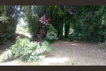 39_photo/952741b3c1.5c6f1f4d0bb5f8a6-ATLAS-e74a13d7-395b-4bc2-94f0-9b78bfbcac12.jpg de casa à venda com 4 quartos, 197m² em Vargem Grande, Florianópolis