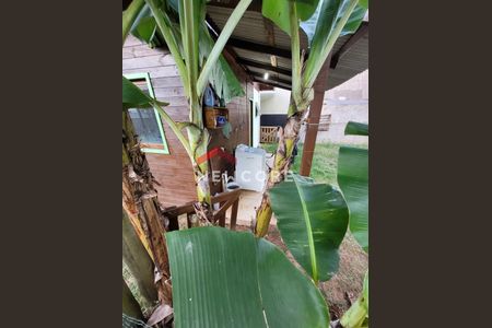 11_photo/952741d229.7e2ea02b9085bf9d-ATLAS-873ef77f-de6a-47fe-b5c5-b7aa4f87e311.jpg de casa à venda com 4 quartos, 110m² em São João do Rio Vermelho, Florianópolis