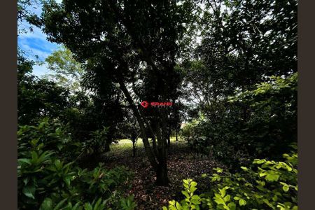 7_photo/952741e1c5.671b3960e7484b54-ATLAS-33c2a2b1-65af-48d4-ae3f-d52146ae3e69.jpg de casa à venda com 3 quartos, 400m² em Ingleses Norte, Florianópolis