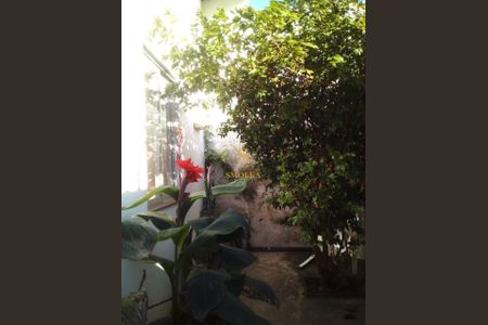 11_photo/952741fb2d.cbac4b0532efd0a4-ATLAS-6440a4ba-dbbc-4c19-8a5b-e9b98c0d5056.jpg de casa à venda com 2 quartos, 210m² em Ingleses do Rio Vermelho, Florianópolis