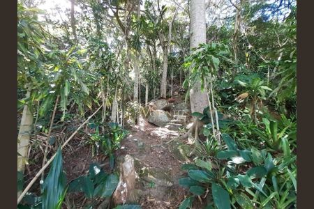 11_photo/952742ea99.2d782e9ced6b4695-ATLAS-f2f3fc6c-0aac-4a21-87fa-523b16bc6830.jpg de casa à venda com 6 quartos, 695m² em Ponta das Canas, Florianópolis