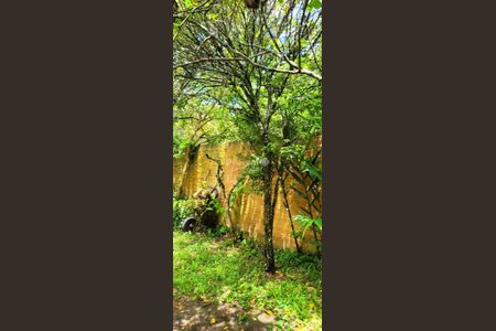 11_photo/952742ed29.adbb37f92a381176-ATLAS-3e4d42ea-d0a3-4258-b68f-e79f1808d522.jpg de casa à venda com 1 quarto, 36m² em Ponta das Canas, Florianópolis