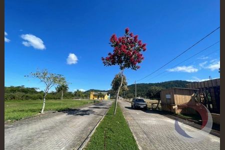 20_photo/952743928d.9783c6feb5fdb515-ATLAS-be1c3068-daa8-4a35-a2a0-7eb8da45ed7a.jpg de casa à venda com 4 quartos, 260m² em Canasvieiras, Florianópolis