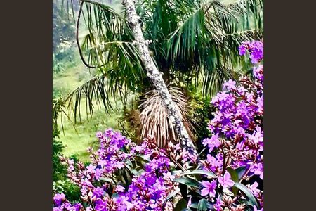 6_photo/95274399af.1ec89c7cbdfc8b9a-ATLAS-3cc333eb-e4ca-42db-abe6-cb412c6dfb9d.jpg de casa à venda com 4 quartos, 430m² em Canasvieiras, Florianópolis