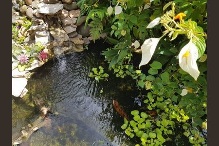19_photo/952743bab5.786c4abf0a136510-ATLAS-e6a8016b-48c8-4a8d-b17c-572c494a18f7.jpg de casa à venda com 3 quartos, 300m² em Canasvieiras, Florianópolis