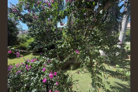 42_photo/952744701d.5a987dbee225dd18-ATLAS-de4fcce7-9854-4d2b-8b2a-16003adb28e2.jpg de casa à venda com 3 quartos, 272m² em Jurerê, Florianópolis