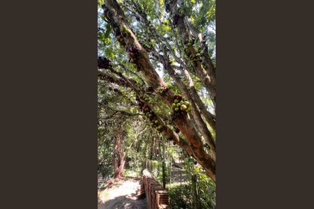 11_photo/952746f73d.ab41e4e09fc2bc48-ATLAS-c4a15843-3705-4afd-af02-bef25df64b50.jpg de casa à venda com 4 quartos, 360m² em Santo Antonio de Lisboa, Florianópolis