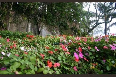 42_photo/952747bb35.f0d246bad4da1cd5-ATLAS-e9c96537-6524-4437-928e-7e9ba2c4fb54.jpg de casa à venda com 4 quartos, 1000m² em Cacupé, Florianópolis