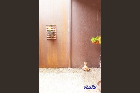 41_photo/9527482035.833a42e394c467a8-ATLAS-91d7fa15-c998-4e8f-b1c9-8f4d7444aefc.jpg de casa à venda com 5 quartos, 215m² em Balneario, Florianópolis