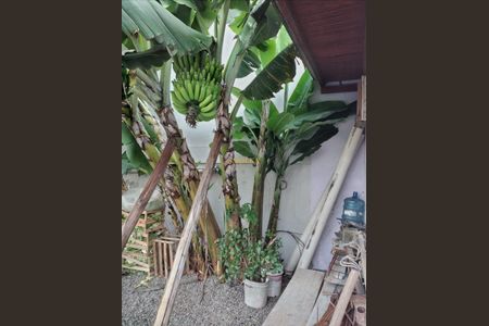 5_photo/952749d1cd.5b5cdc15c3d89a9d-ATLAS-61bf3d9a-db14-42c7-ba37-166d567efd2d.jpg de casa à venda com 2 quartos, 80m² em Barreiros, São José