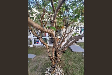 5_photo/95276a087f.4cea1a0b3f6bbd2f-ATLAS-c70a11bb-a326-421b-87ef-dad2c335a896.jpg de casa à venda com 3 quartos, 183m² em Ingleses Norte, Florianópolis