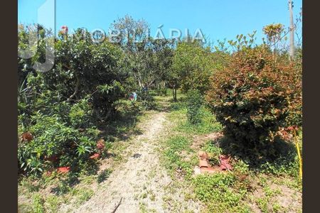 9_photo/95276a1099.ea0ff2ffec9a0f1c-ATLAS-baf09717-a7e1-4d89-a47d-0d9261804014.jpg de casa à venda com 6 quartos, 300m² em Ingleses do Rio Vermelho, Florianópolis