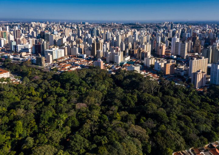 Foto que ilustra matéria sobre os melhores bairros de Campinas mostra uma área verde da cidade em primeiro plano, com altos prédios ao fundo.