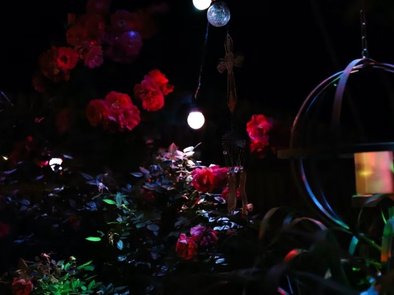 jardim com rosas e flores vermelhas e iluminação leve