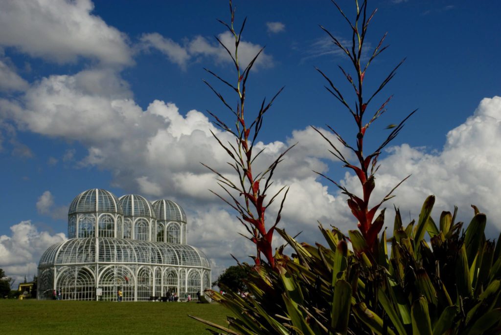 Foto que ilustra matéria sobre Parques em Curitiba mostra o Jardim Botânico em Curitiba
