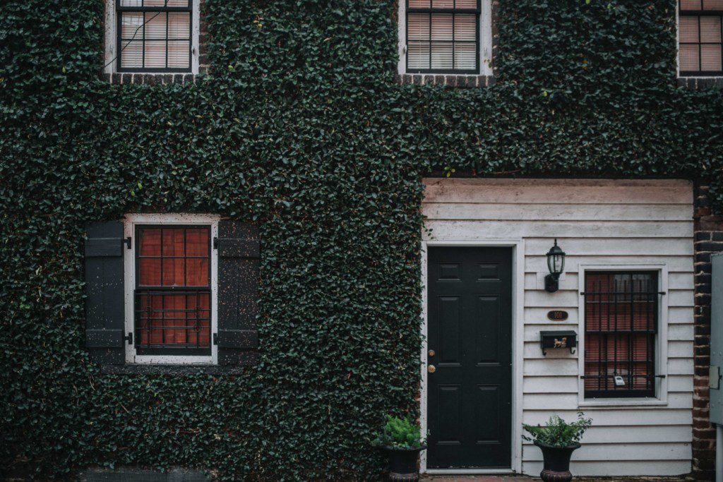 casa com parede de folhas verdes