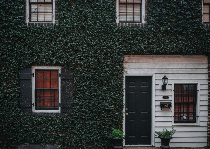 casa com parede de folhas verdes