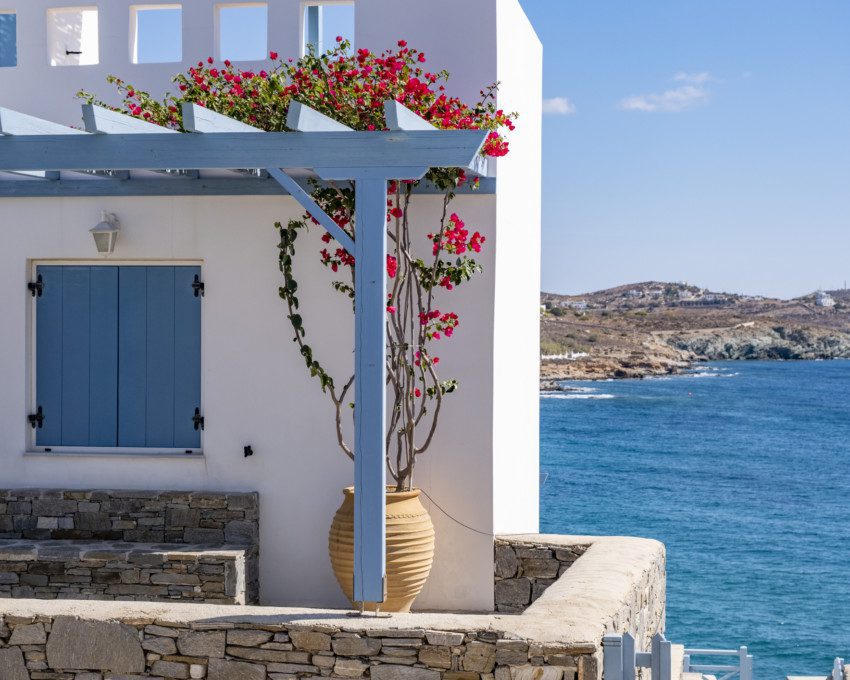 decoração de casa grega, na cor branca, com pergolado azul e flores rosas