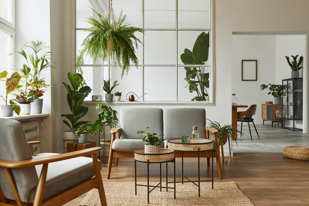 Foto que ilustra matéria sobre como decorar a sala gastando pouco mostra uma sala de estar bem iluminada com diversos vasos de plantas espalhados, tanto em cima das mesas de centro quanto no peitoril da janela e pendurado no teto