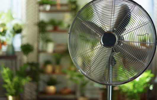 Ventilador com diversos vasos de plantas de fundo.