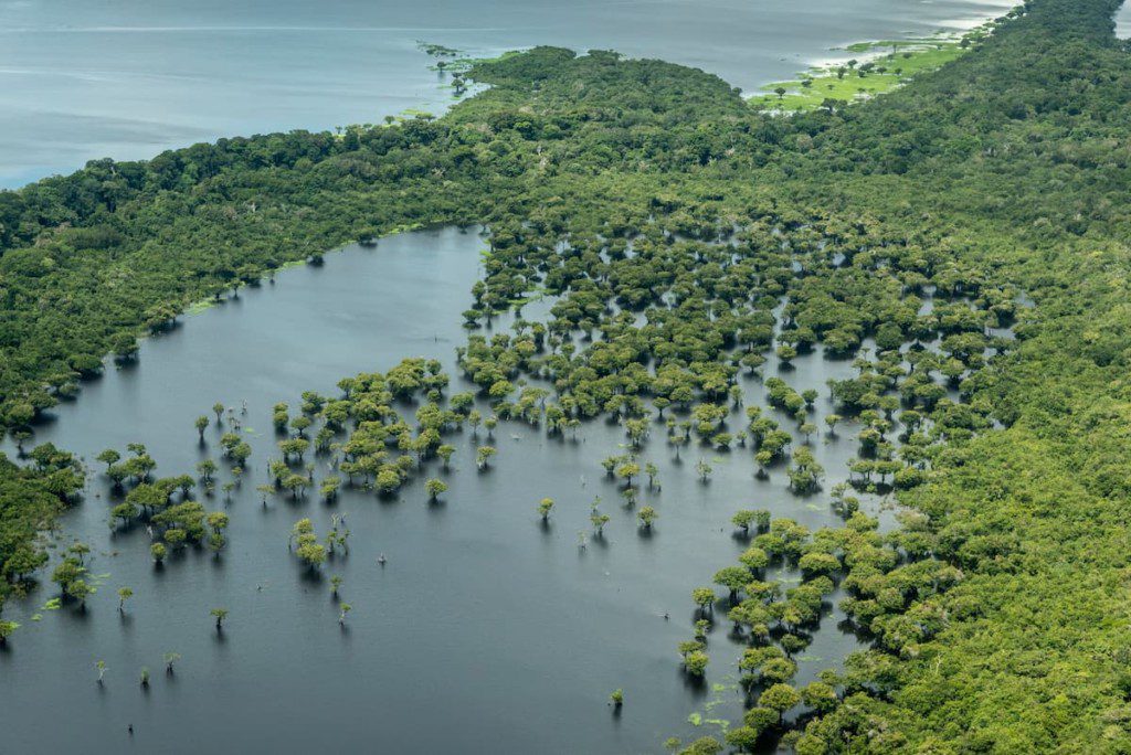 Parque Nacional de Anavilhanas.