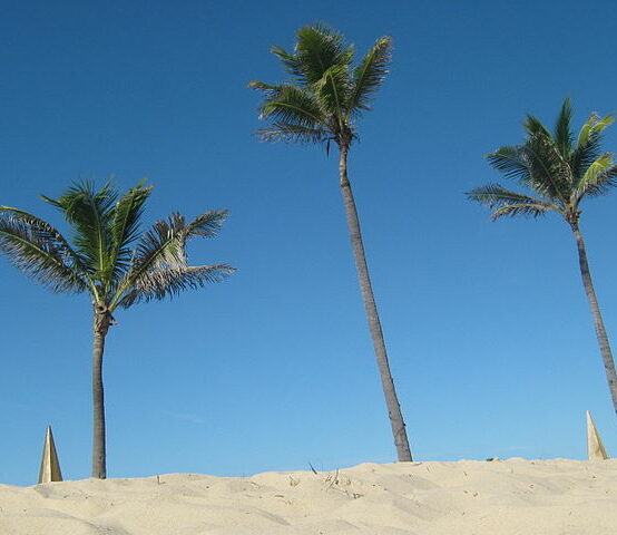 Praia de Porto das Dunas