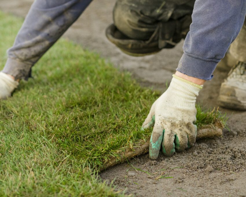 Imagem de uma pessoa plantando placas de grama com luva branca.