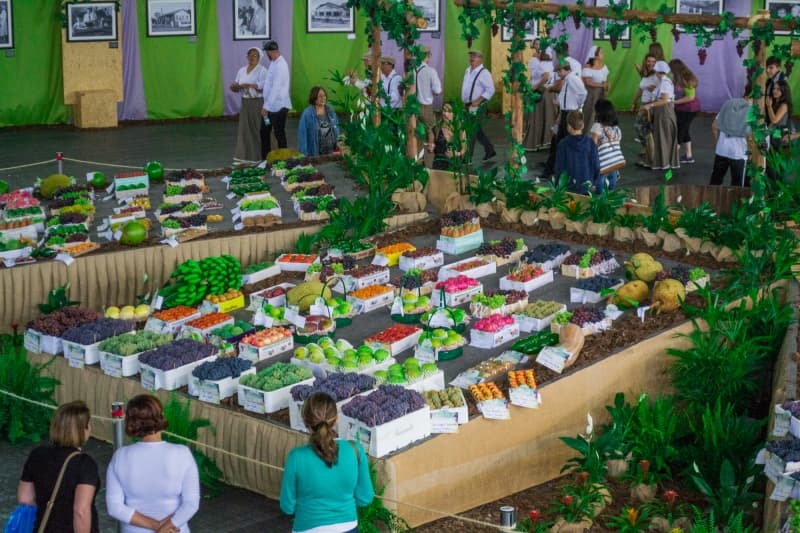 Exposição de frutas na Festa da Uva de Vinhedo.