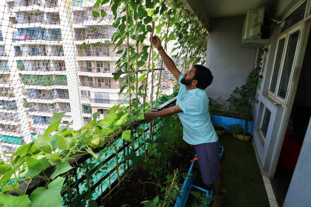 Parece viva construída aproveitando a tela de proteção da varanda do apartamento.