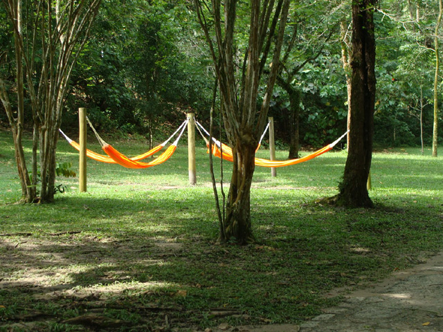 Imagem panorâmica de um redário no Parque Villa-Lobos na Zona Oeste de SP