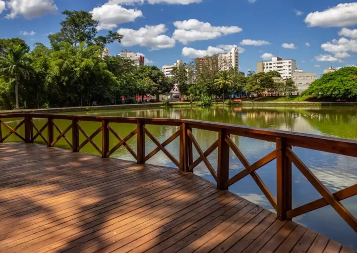 Foto que ilustra matéria sobre as cidades mais verdes do Brasil mostra uma vista panorâmica do Bosque dos Buritis em Goiânia (Foto: Getty Images)