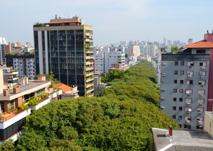 Vista aérea de um bairro de Porto Alegre com prédios residenciais e árvores para ilustrar matéria sobre o valor do m2 em Porto Alegre por bairro