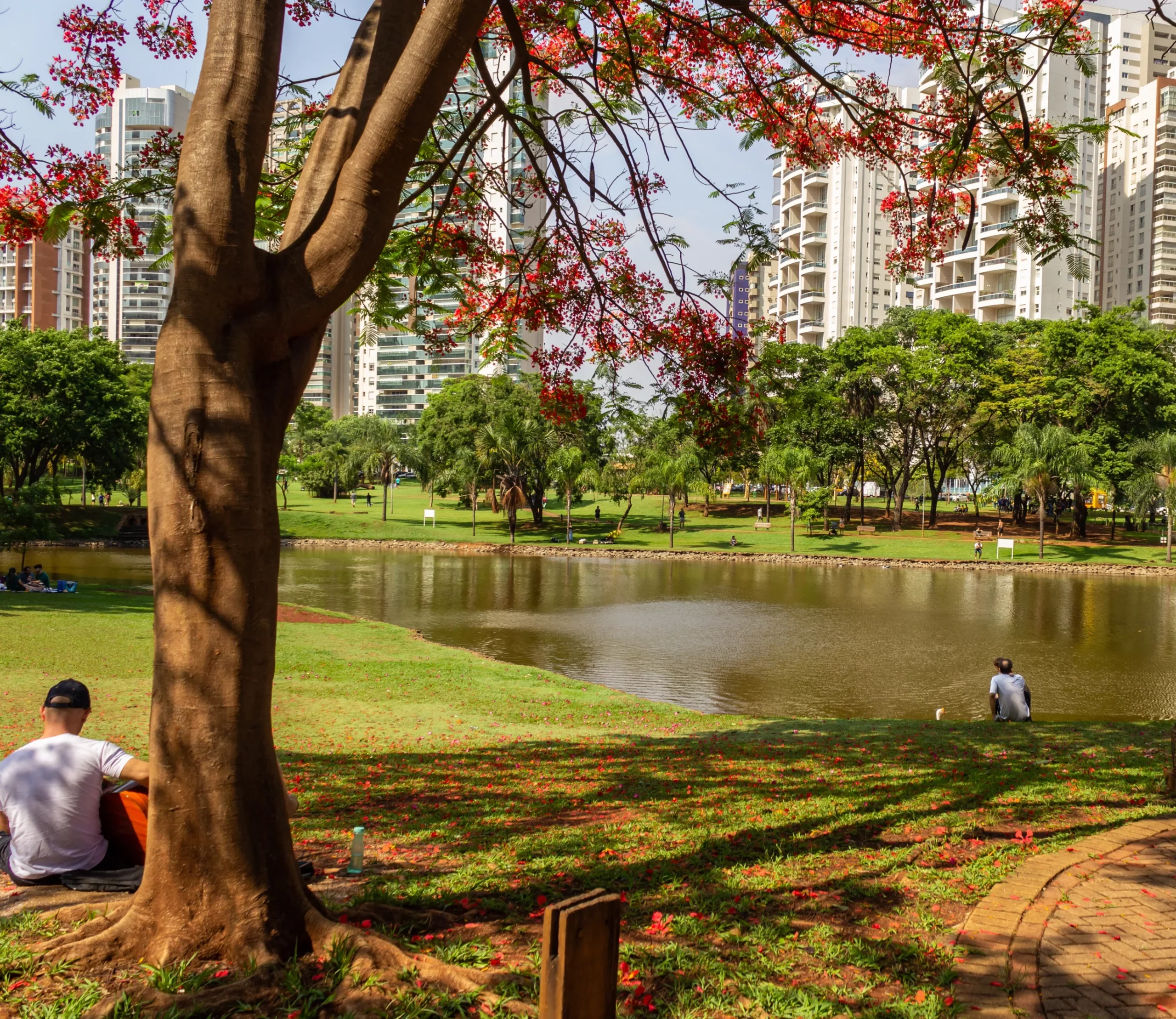 Morar no estado de Goiás significa aproveitar a harmonia entre desenvolvimento urbano e clima de interior