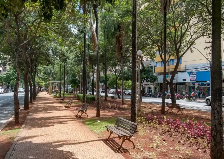 Foto que ilustra matéria sobre a cidade mais arborizada do Brasil mostra um detalhe da Avenida Goiás, em Goiânia (Foto: Leandro Moura/MTur)