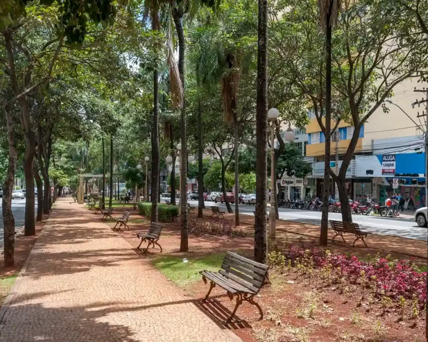 Foto que ilustra matéria sobre a cidade mais arborizada do Brasil mostra um detalhe da Avenida Goiás, em Goiânia (Foto: Leandro Moura/MTur)