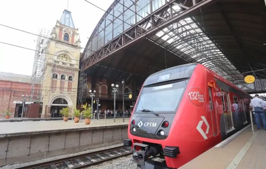 Foto que ilustra matéria sobre a Linha 7 - Rubi mostra um trem na plataforma da Estação da Luz, em São Paulo (Foto: Wikimedia Commons)